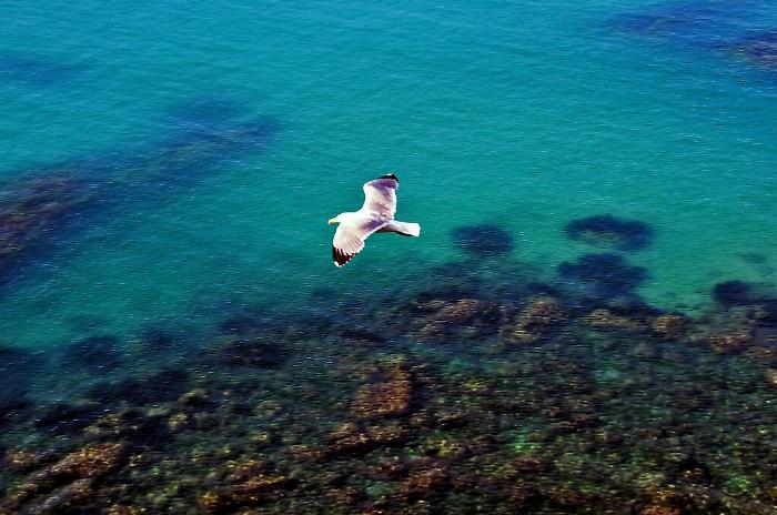 151904121-44f461e7-a434-43bc-9b5e-80794fac040c