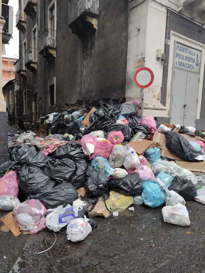 172536336-51adb0f4-1780-44c5-b8c2-b29992490f61