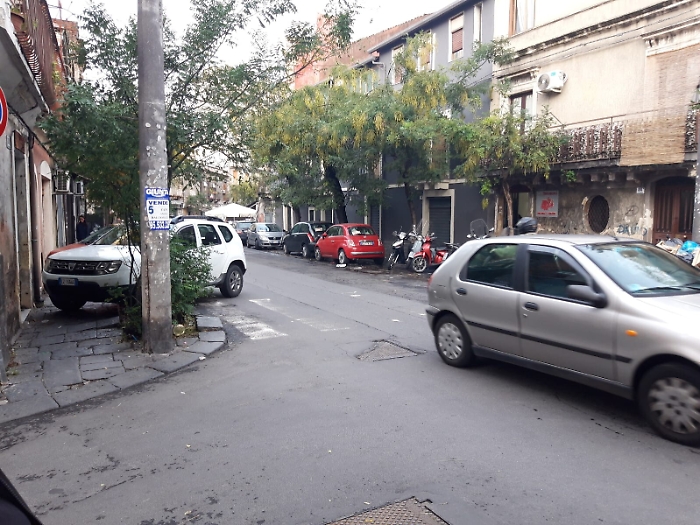 172536803-c00bd7f3-949a-4f5e-852e-66c201d0103f