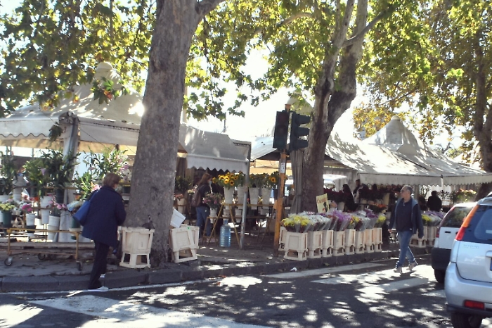 185103760-7e93d774-0649-48ac-a1b0-f06e450a1499