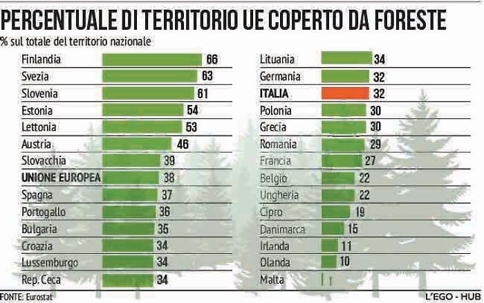 001449341-d42d738d-812b-4892-8ea8-197f51958717