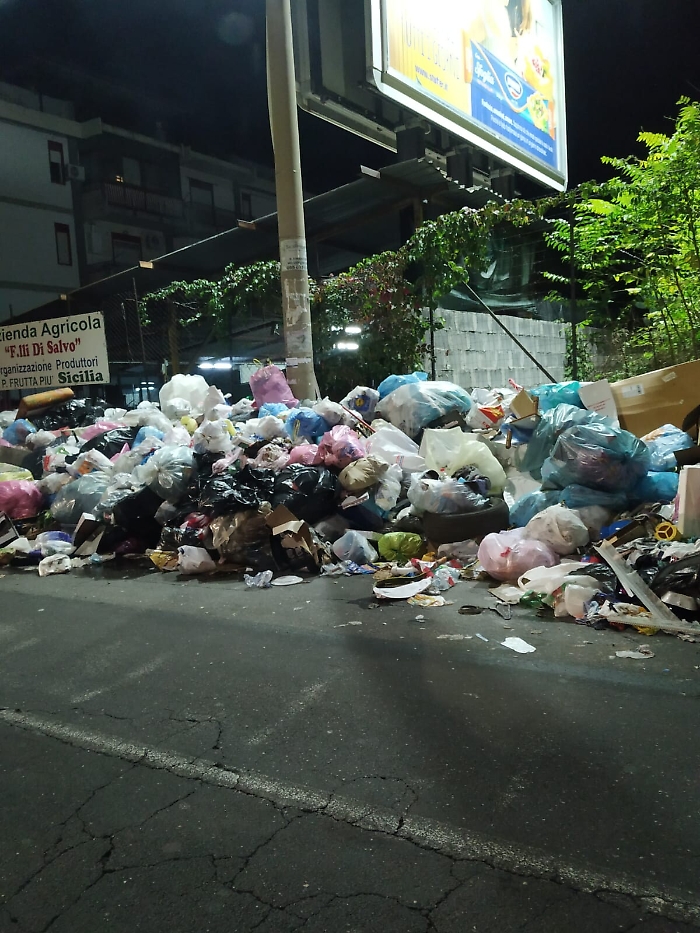 103319628-ec3af9aa-76ca-4c08-9f82-db287cd2e265