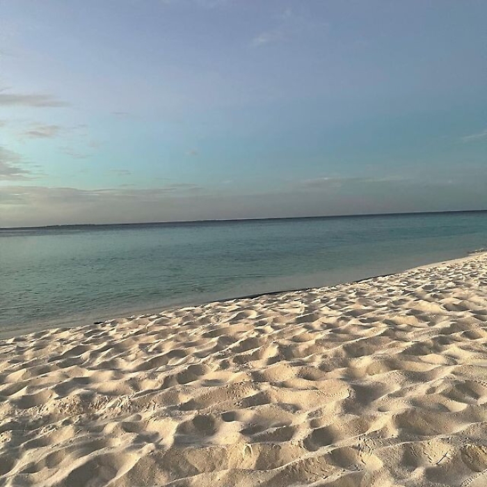 202059632-c9f15090-b0b4-408c-ba9f-096746563ce1