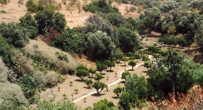 164049133-96763859-476c-4f74-9811-dc7c430ae315