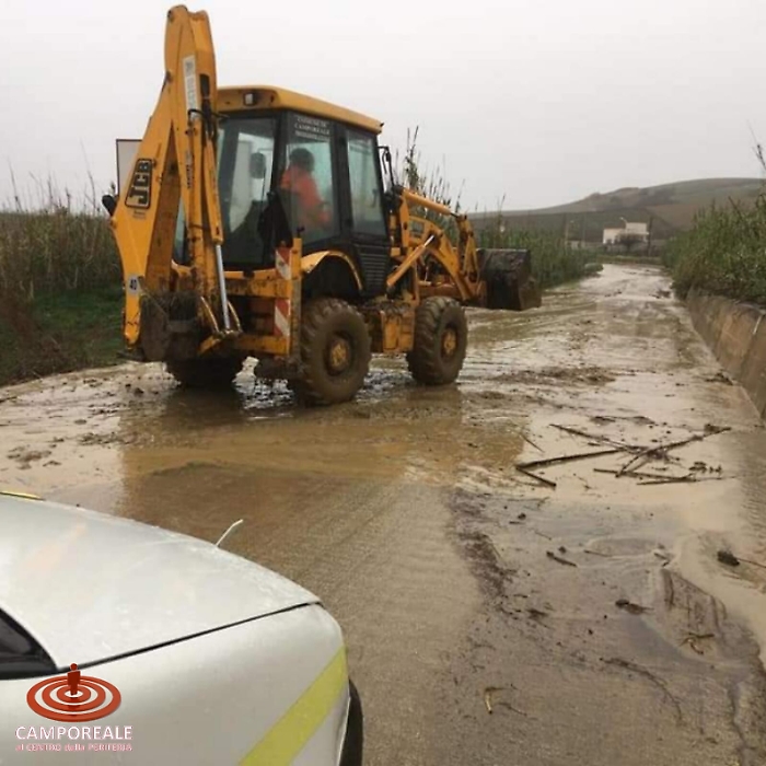 183306837-dba246c1-74d2-4cad-8053-ac8afd5db533