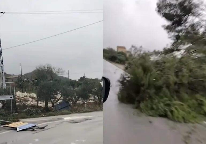 160336308-eee025ea-d53d-49a9-ab37-86d11dafb340