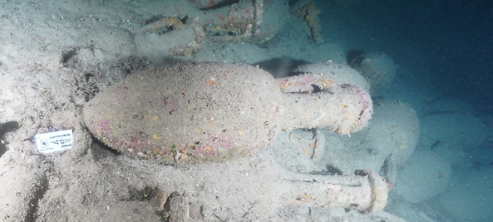 144251645-a3100ae1-9f5a-4180-9046-f68a21c08fe7