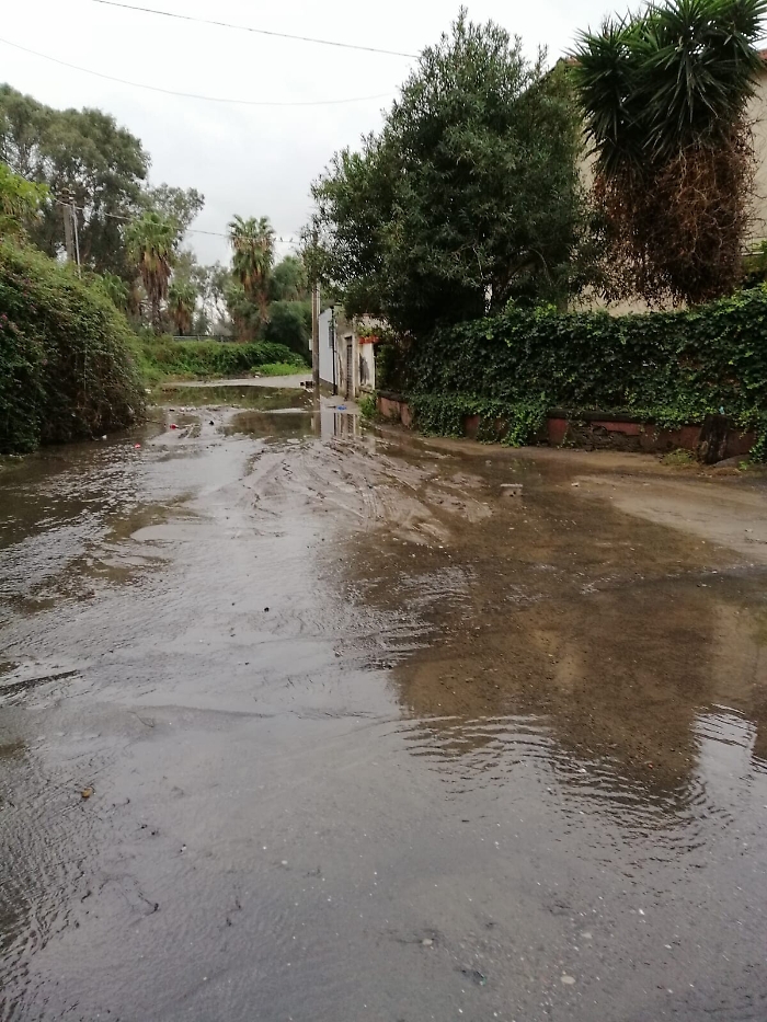 170445295-2cad0e05-7647-4c34-bc0d-317fb79a5b13