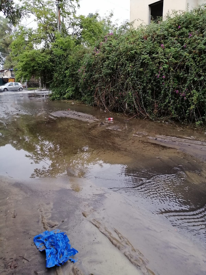 170447120-31f25206-a260-485e-a56c-8e55d4ae6f56