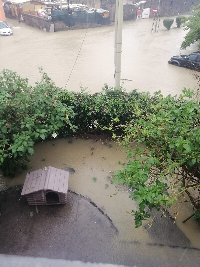 170447127-91576312-f9c6-4191-a961-940f6b42ca8f