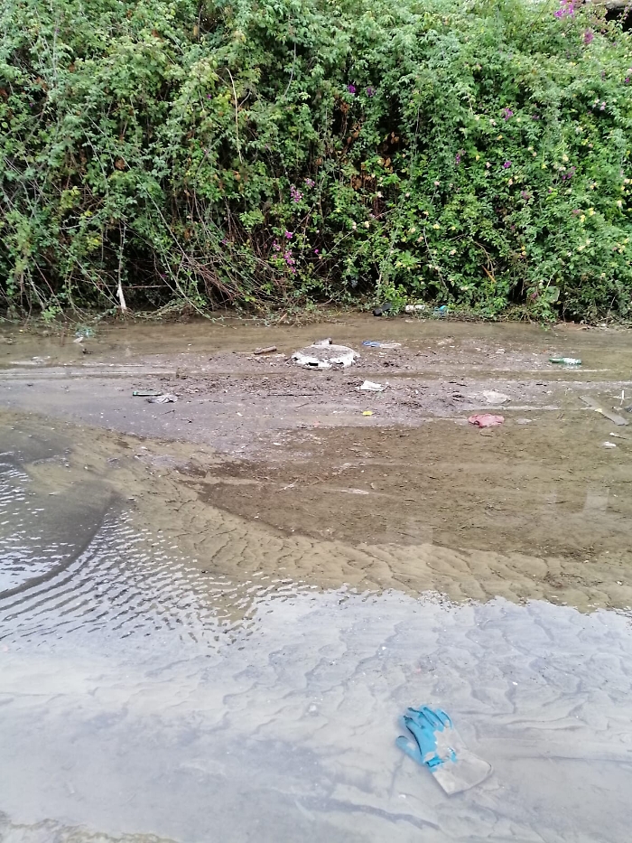 170448033-eb20a3af-da11-4a49-a85f-484a2c567800