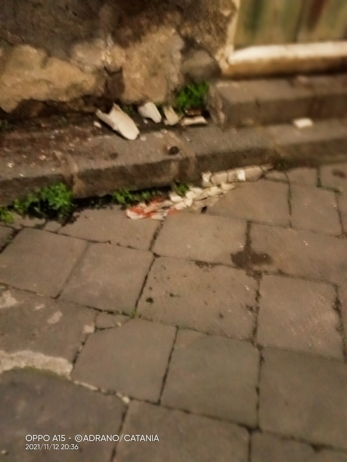 181256738-efcc491a-ac62-441d-9143-d2c03f2808fe