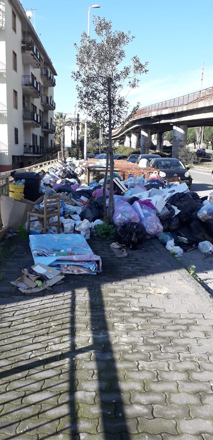 181729935-aec149e2-882c-4140-9813-dd15c1f41f4b