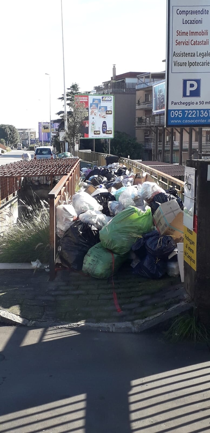 181730701-cc684f7a-85ae-478d-a075-4af17d3662bd