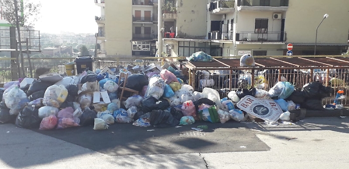 181732131-daa24f38-616f-4060-82c5-a8149895b884