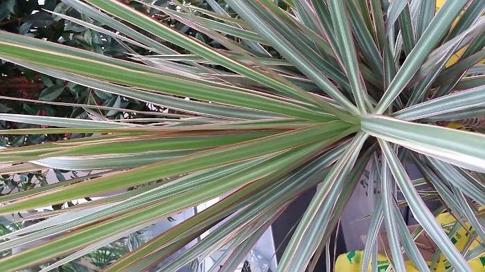 165300416-bda96879-f37c-48d7-b7ac-c9b21bc9f1e8