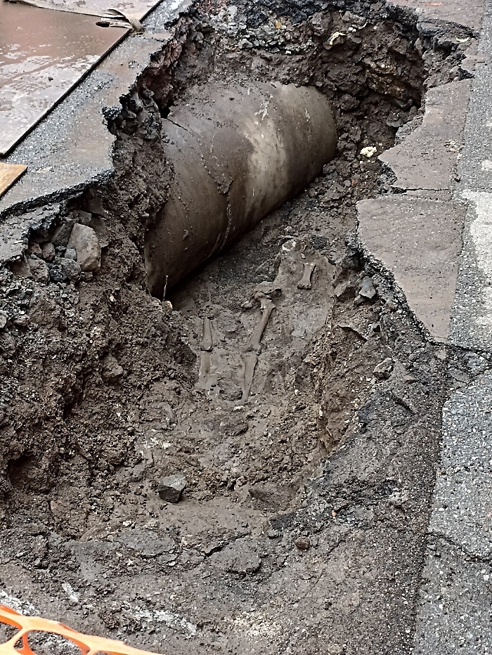 094102386-24e43ade-9d40-4459-8bf6-5d3d058e8478