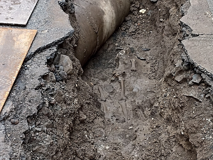 094254522-6511c602-1a7f-4d58-b76a-bbfd09ba7c36