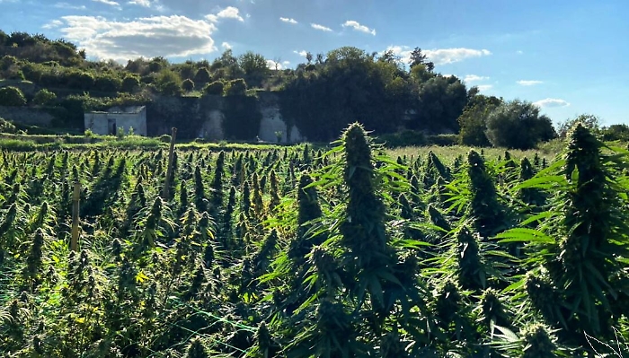 113310447-d060950b-2d6b-4719-a04b-f3966a26169e