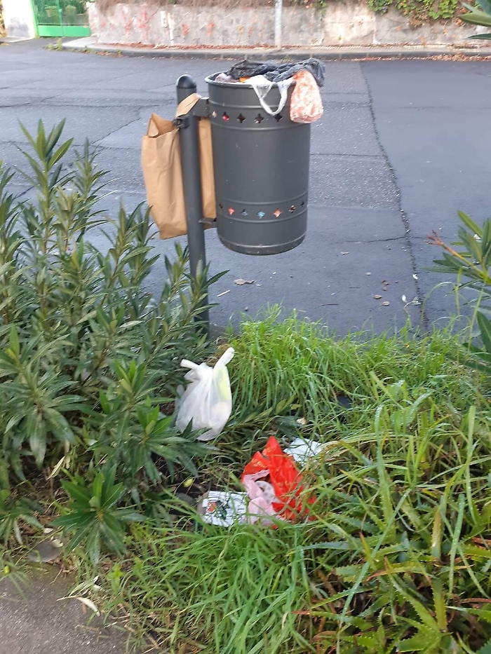 154656366-c7b9dd13-98ea-4d2a-b429-0c03799dfddb