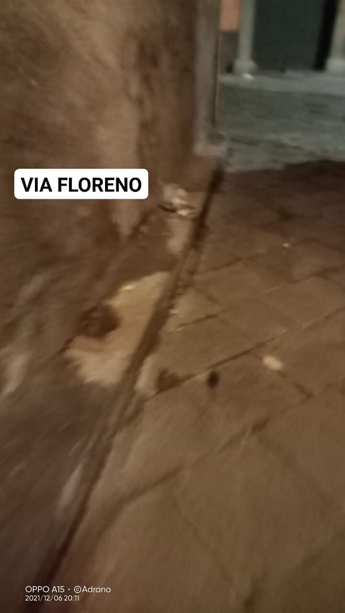 162132161-35b535ff-a5f7-4327-a6d0-f3a0f996534a