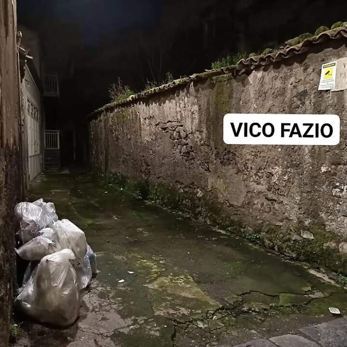 162132172-cba69d60-da3a-460d-be5b-99b3f72832ac