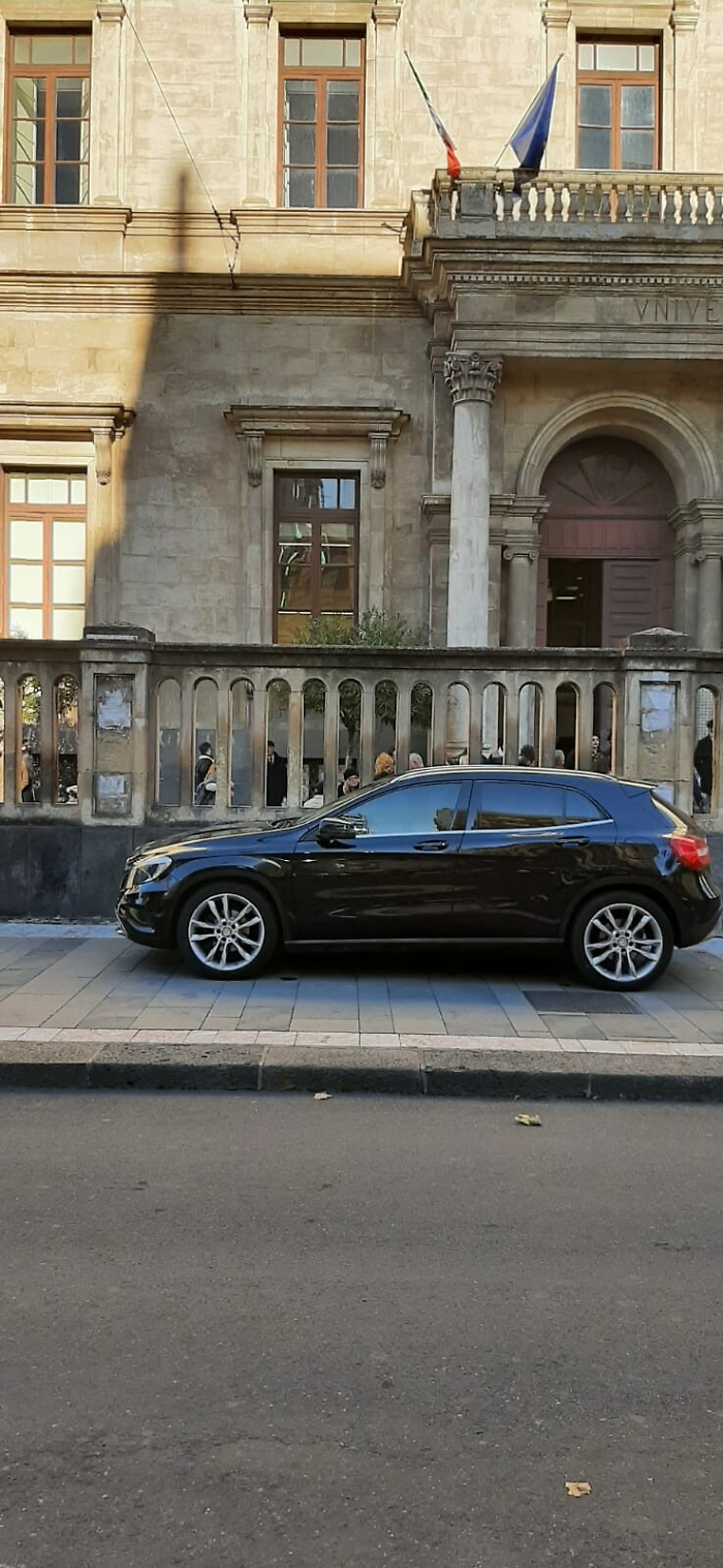 182435548-09a0de72-99bf-4a25-9a94-d39a97ab19cb