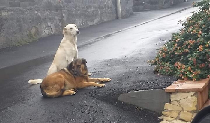 163913392-9955cab3-127f-4c7f-a3aa-2cd962b9c710