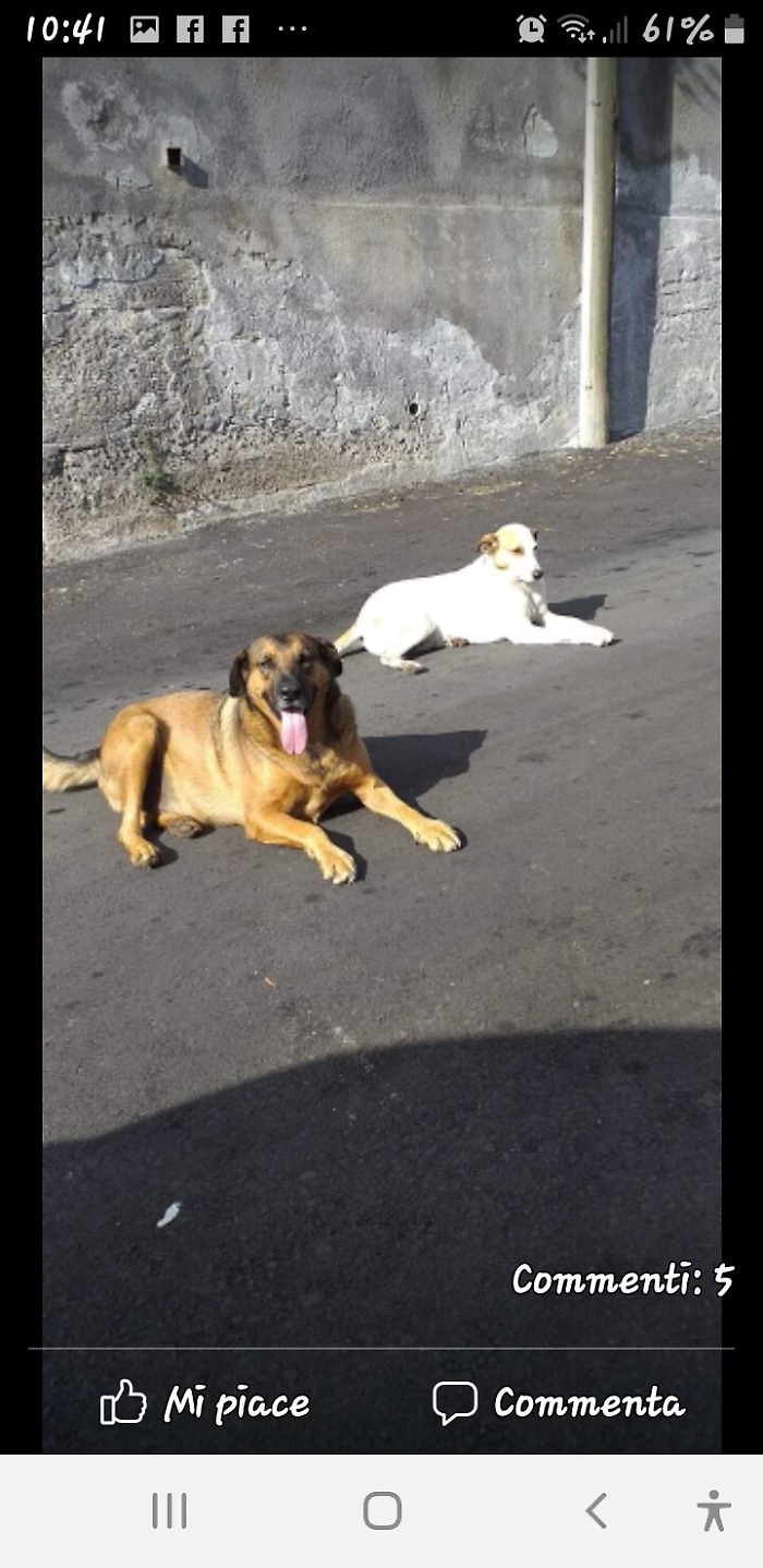 163914168-96cc8166-2858-48cd-9c12-e2a679840fc7