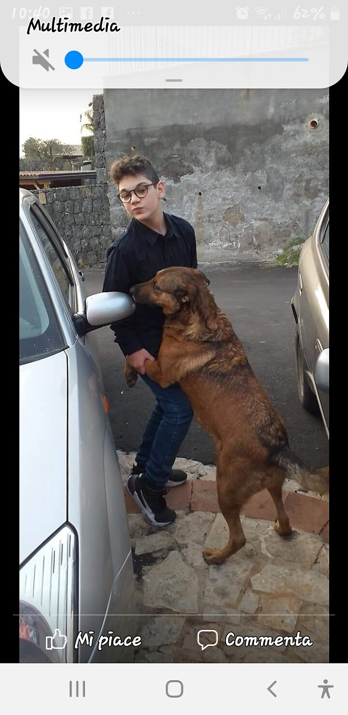 163914746-1591eb20-d934-4f52-9df5-4aa50623a53c