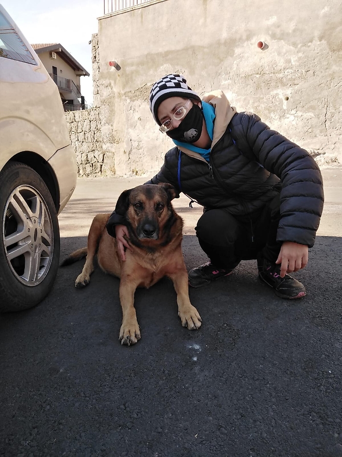 163916569-29d5520a-0b52-4372-8f36-adb42bba22c6