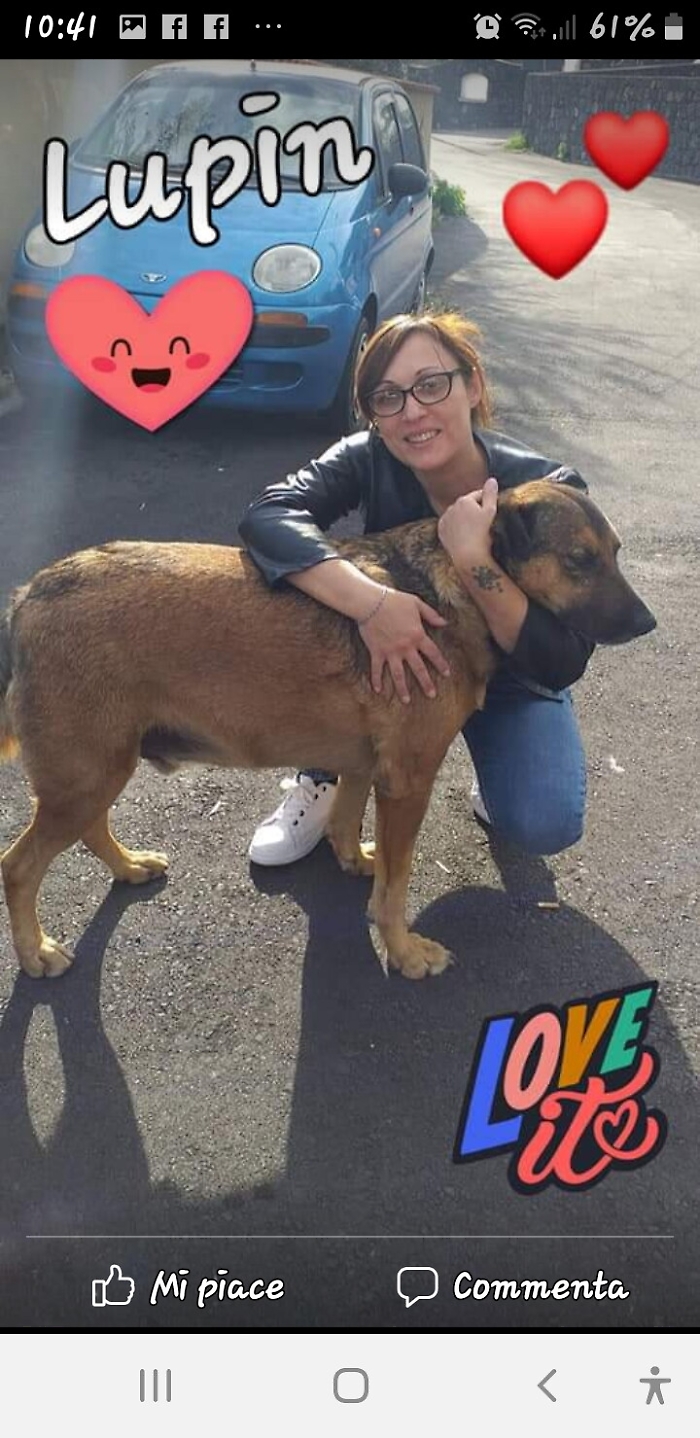 163916950-a9c88af5-3a8e-4a7c-a6a5-809a2b3da971