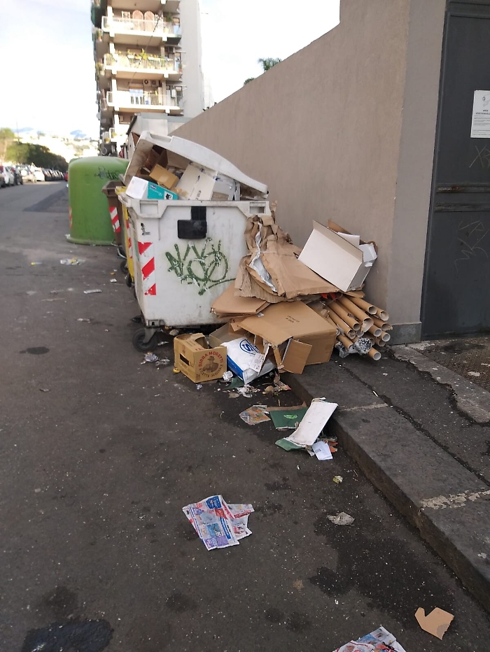 171205177-9b68e6bd-ec60-4609-ba0a-1fca21004228