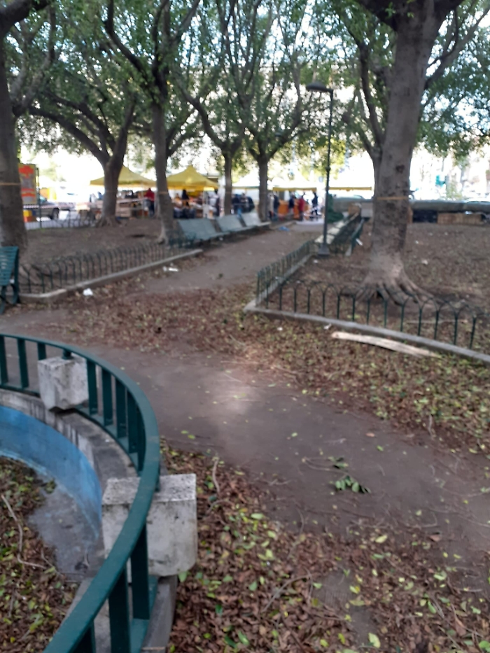 170732051-2c5e8ea3-715b-47b9-9687-5d20cbd53b5a