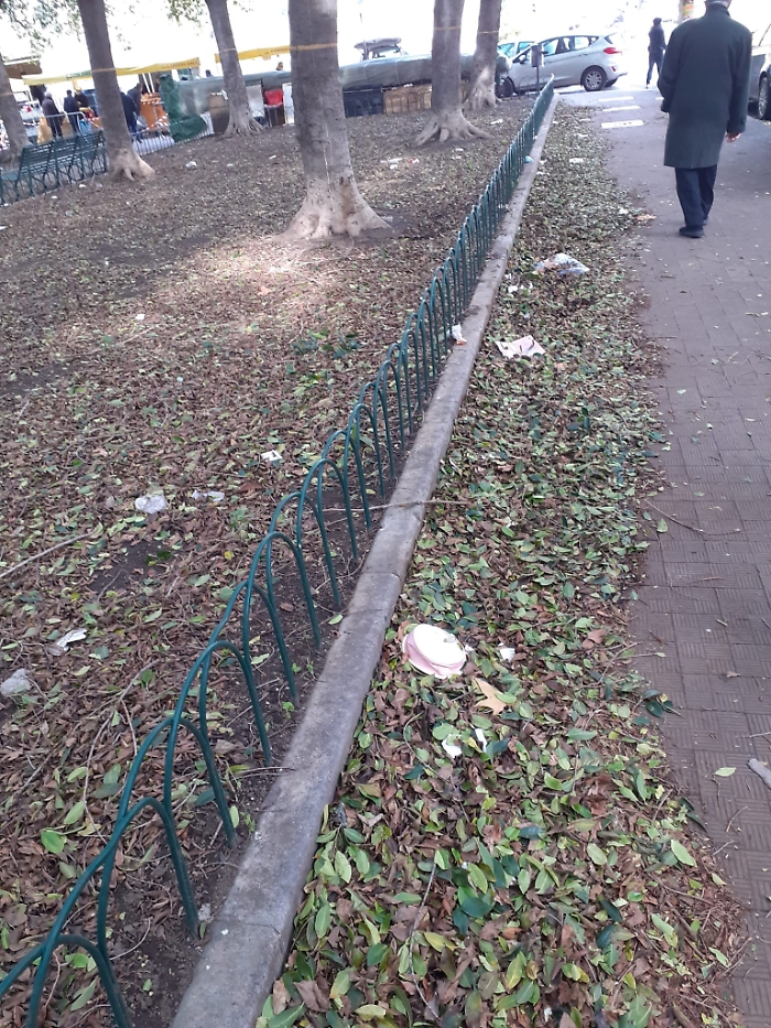 170733765-4aa03705-2d54-4225-abf5-b6a78d34d86f