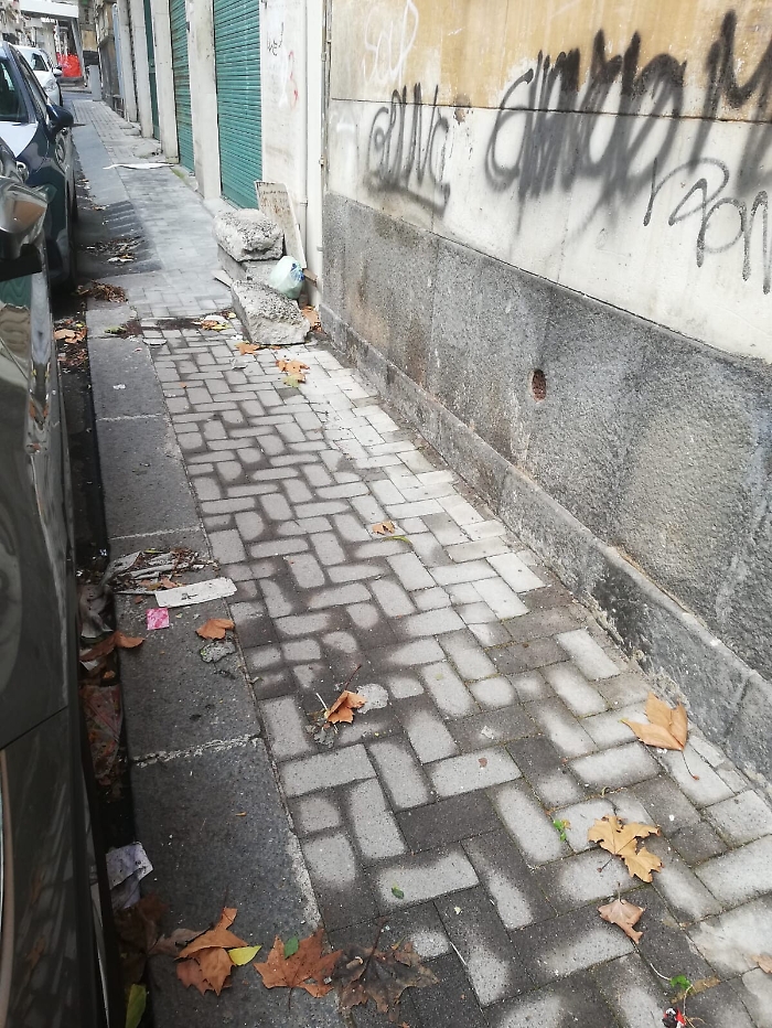 103817062-6e4a01f0-c71f-4f48-b743-1763aadae5b3