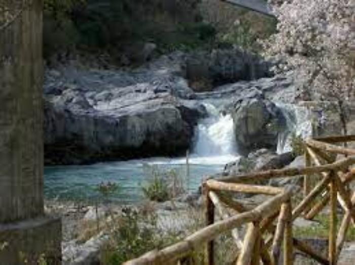 172629846-41733205-bcf5-4060-8a6a-83ad168bb450