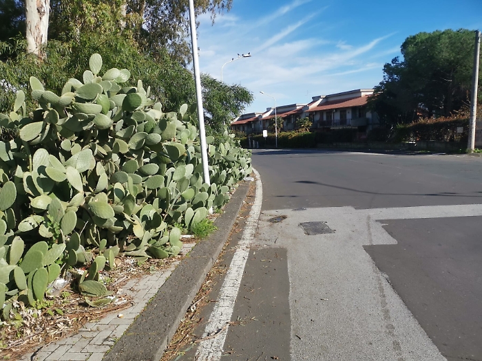 191230984-a46ba2a3-3350-482e-b7cd-0d64b6520409