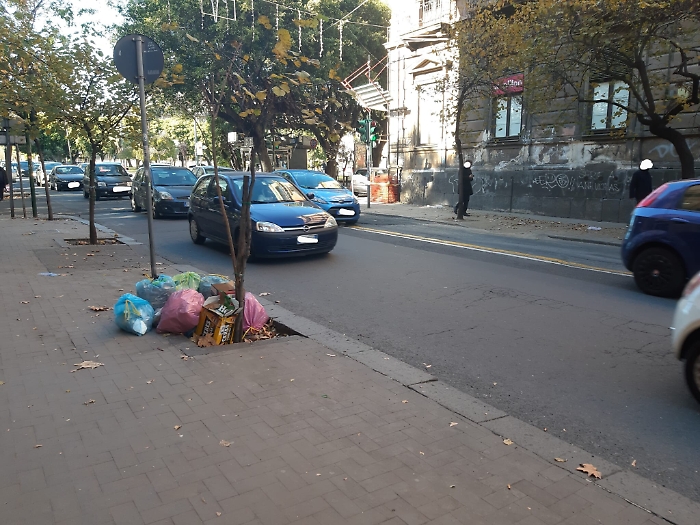 191739046-4afe08f0-e027-494e-b1ae-5469be85a098