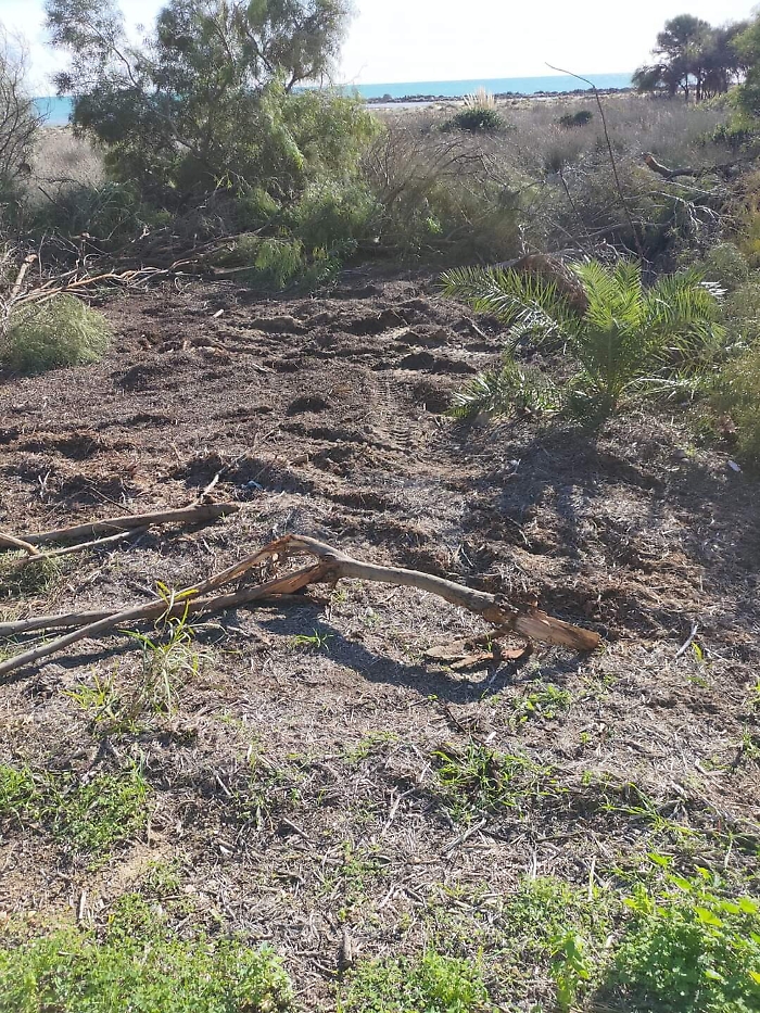 164632750-c7f7ed53-47c3-42ac-82a0-58506750bdfe