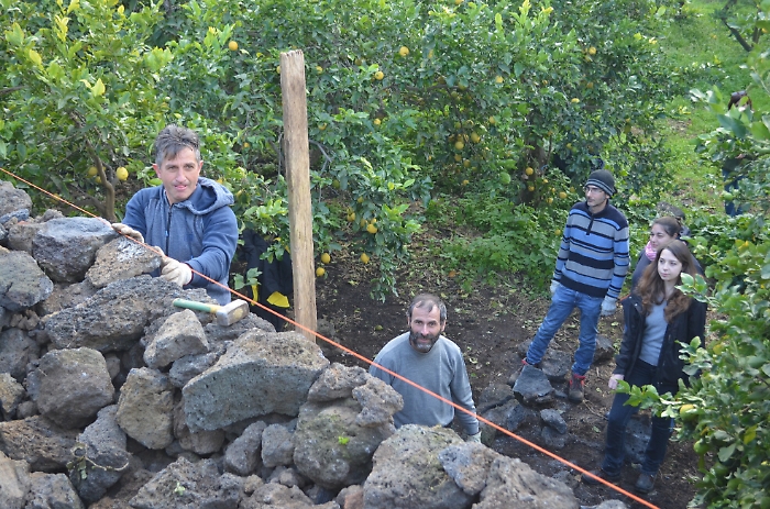 190525249-e4ad88f4-34d0-4c68-ba32-6e7f0bb06487