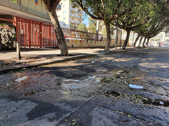 173322255-f38fc8fd-dedb-4f37-98fe-70bb76c5971b