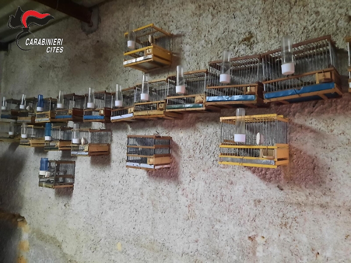 072544384-7356d4bf-e767-4cfb-9f70-7e75828b54eb