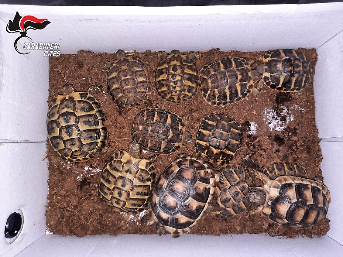 072637962-b1f7ba76-3a42-495a-bde2-0e25a13ad367