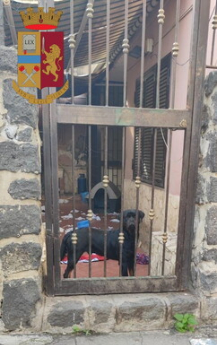 114212864-869c7915-5d70-4b30-942c-6ab2e66c6f76