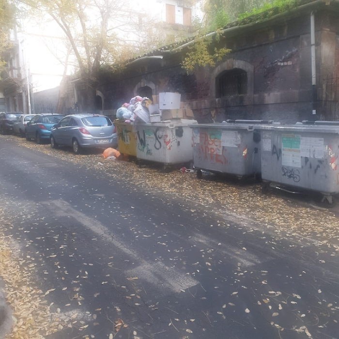 161857093-998fede7-c039-4de2-9722-bbd38e38943b