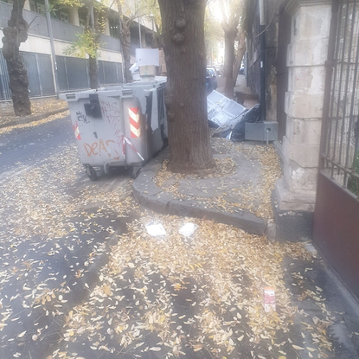 161858786-7a43f04a-97e3-48fe-95f5-508ec2740adf