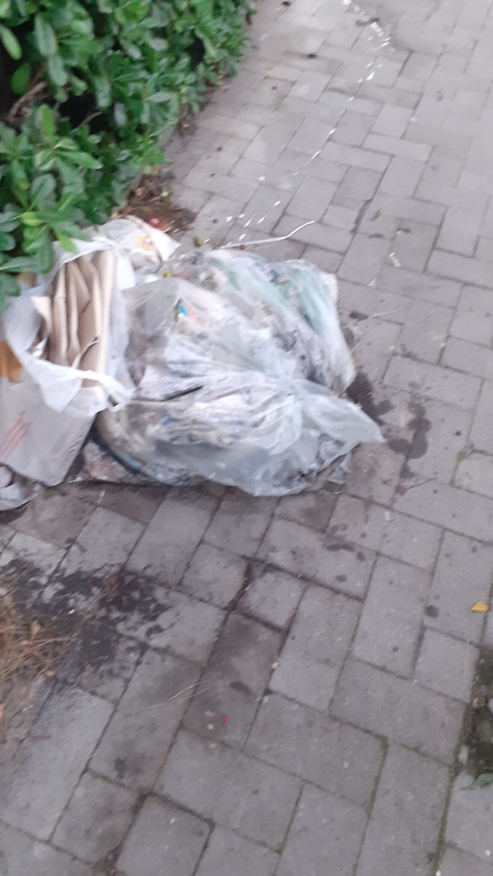 163023185-653a163a-1f51-4087-bbd3-74d35db2d195