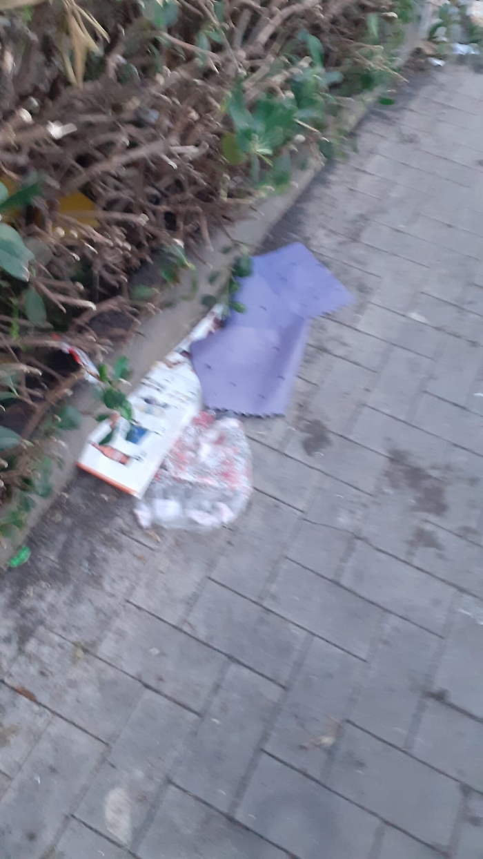 163023202-9b0be2fe-1198-43c7-8071-d8ca1763877e