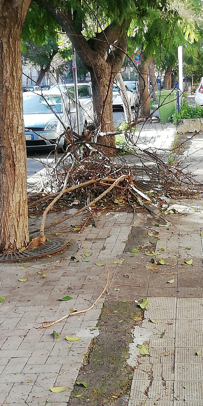 164318671-64f26773-215c-43a7-94b0-ceac99d07d60